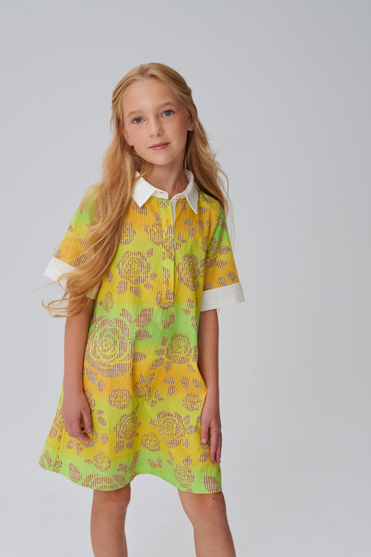 Collared Short Sleeve Dress DS02210