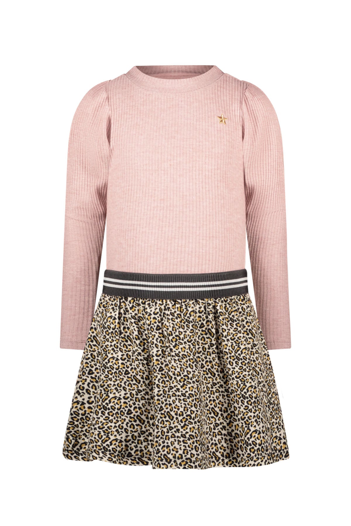 Mira Animal Print Dress F408-5817