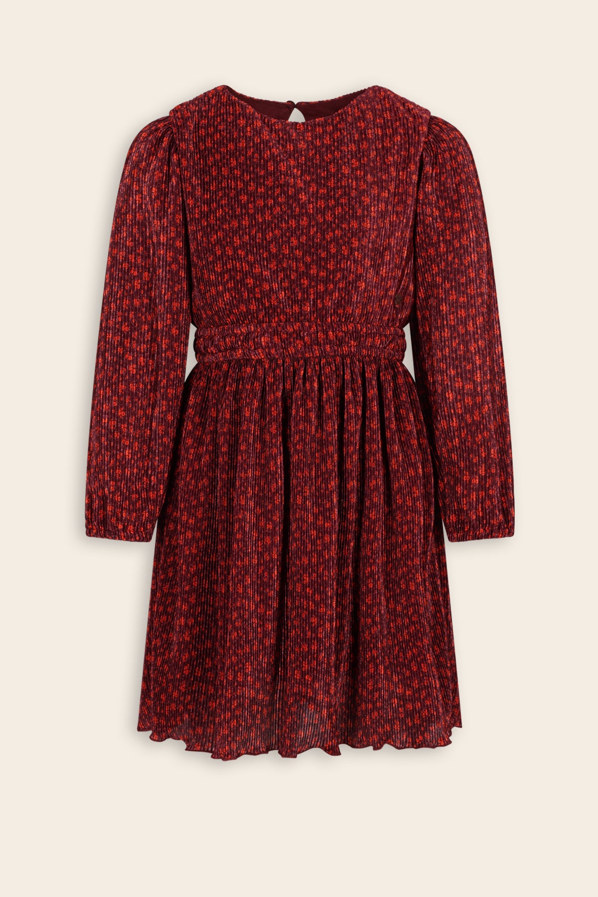 N609-5800 Autumn Flower Plisse Dress