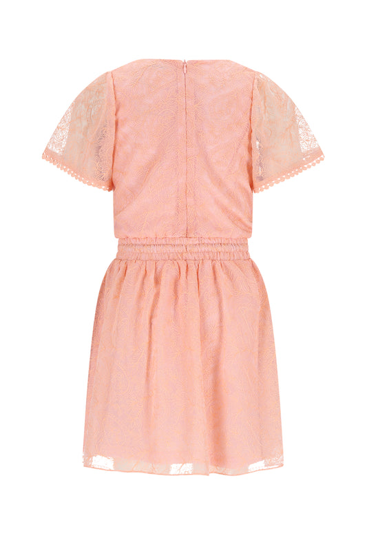 Mireal Embroidered Mesh Dress N512-5804