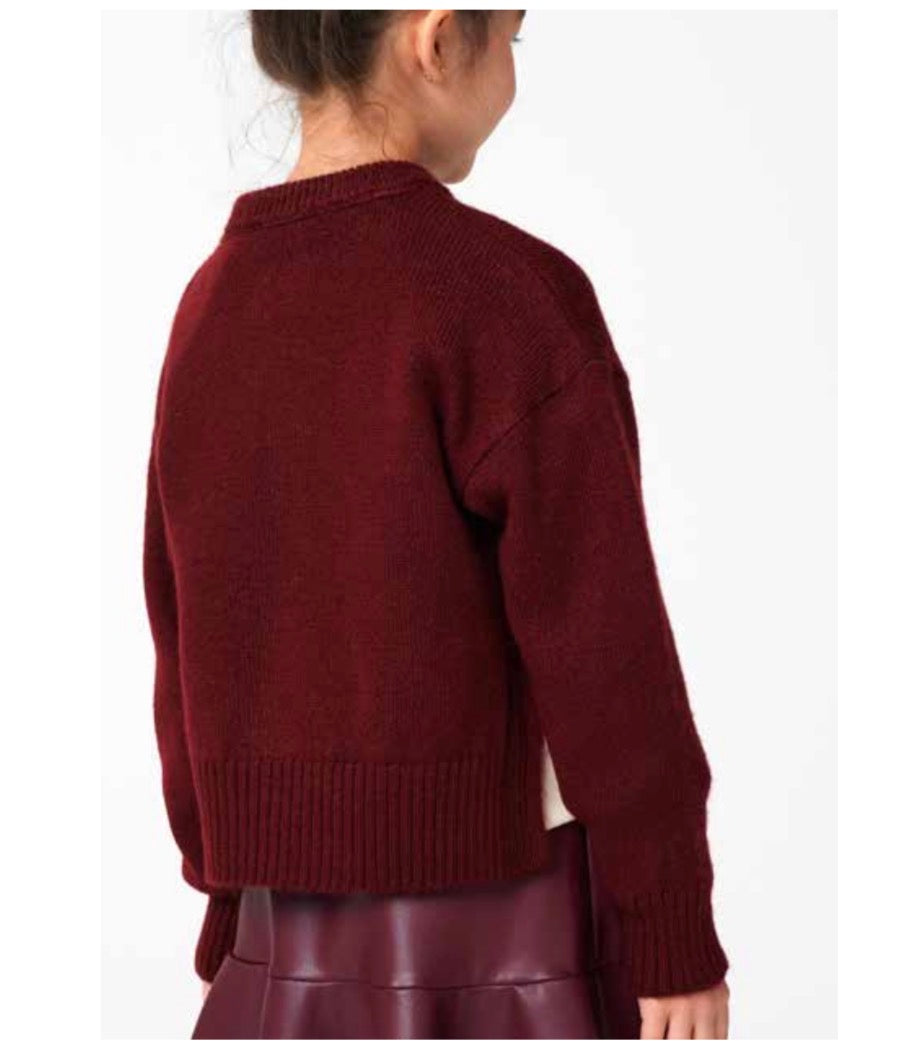 SKL0039 Bordeux Pleather Skirt