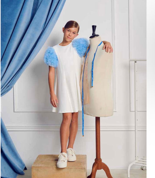 Puff Sleeve Dress DS02239