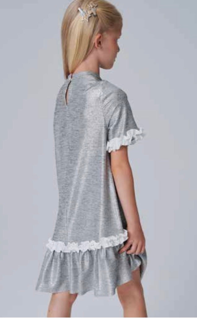 Silver Dress DSL0575