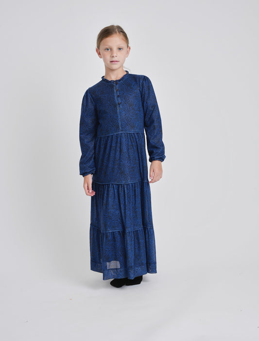 Mesh Paisley Print Maxi Dress  GW23527-A