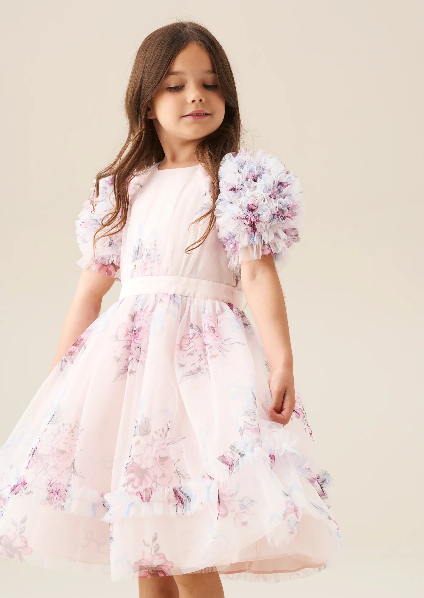 Florence Blush Ruffle Sleeve Mesh Dress AR0278