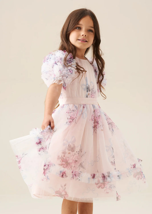 Florence Blush Ruffle Sleeve Mesh Dress AR0278