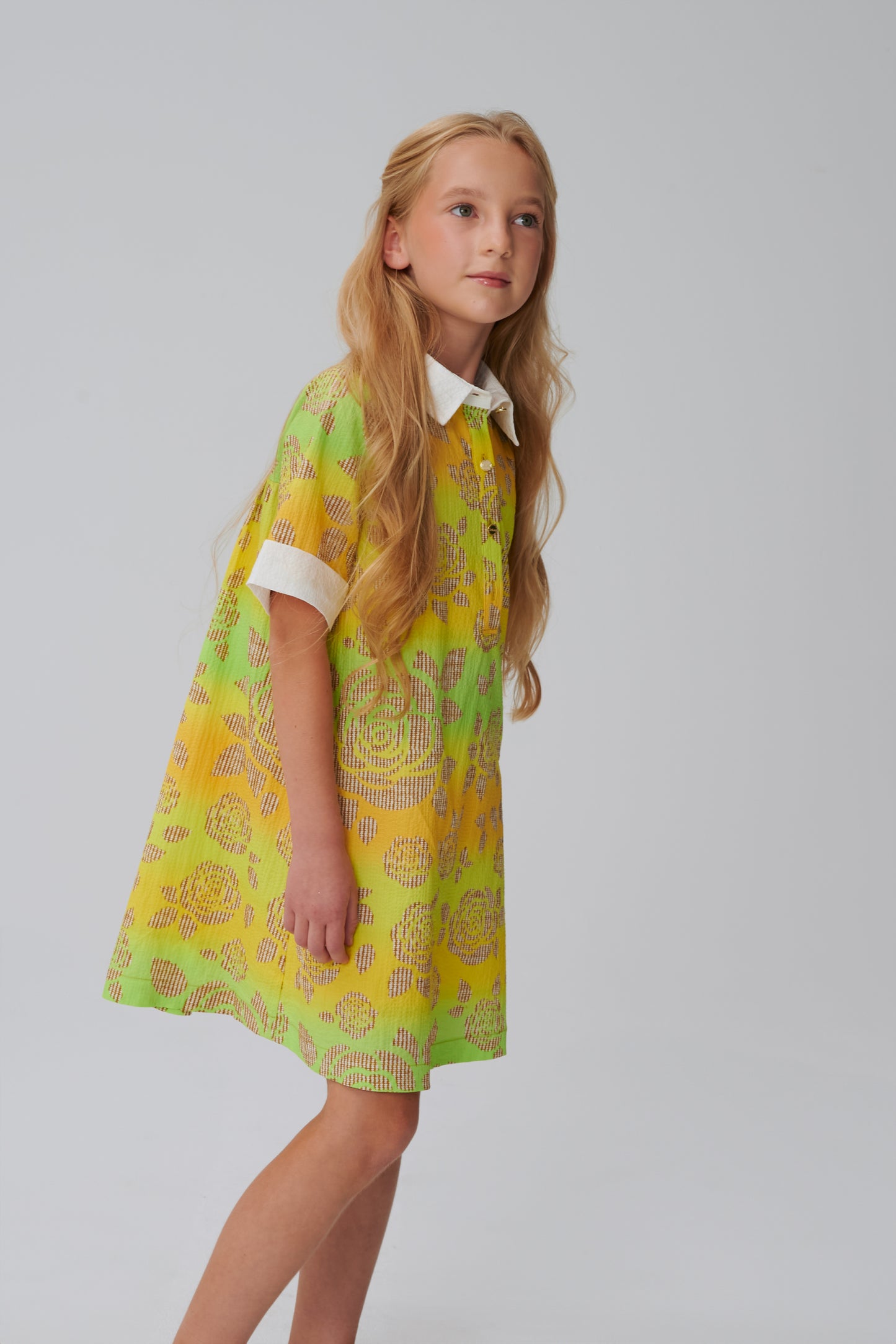 Collared Short Sleeve Dress DS02210