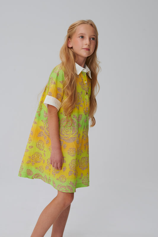 Collared Short Sleeve Dress DS02210
