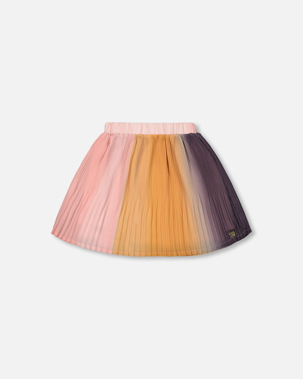 Gradient Pleated Skirt F20J81