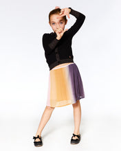 Load image into Gallery viewer, Gradient Pleated Skirt F20J81