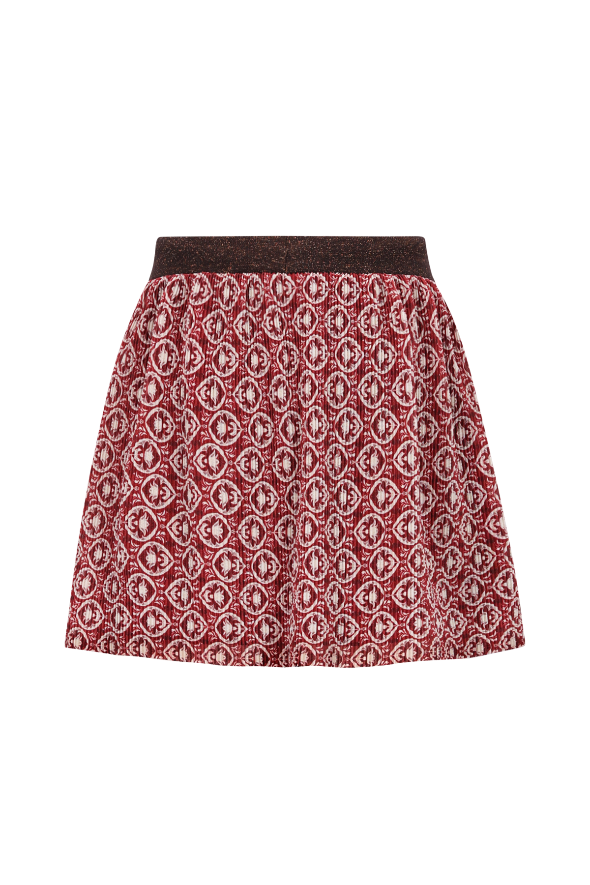 F508-5703 Plisse Mesh Skirt