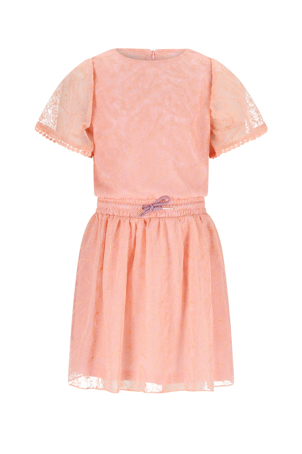 Mireal Embroidered Mesh Dress N512-5804