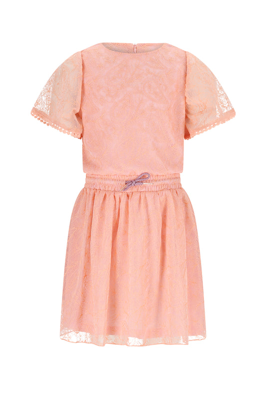 Mireal Embroidered Mesh Dress N512-5804