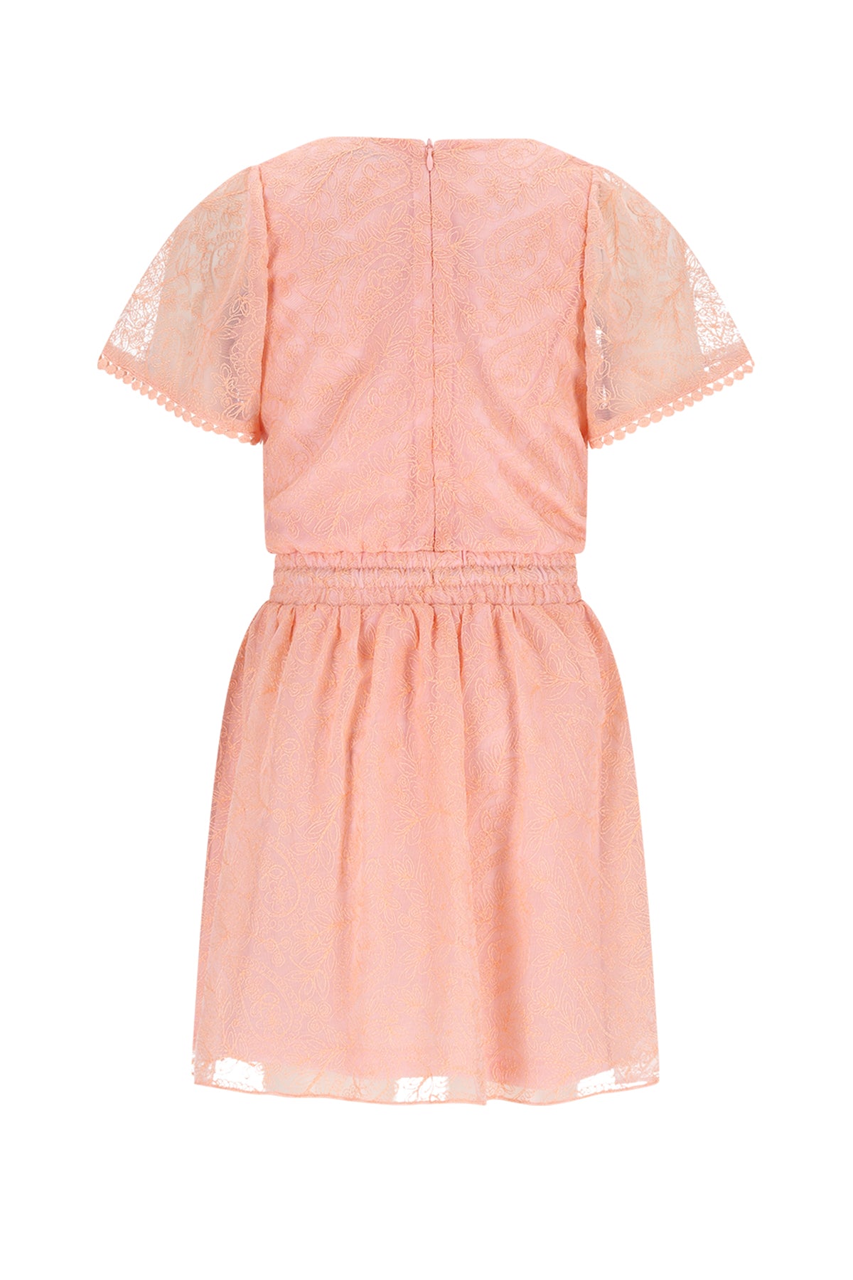 Mireal Embroidered Mesh Dress N512-5804