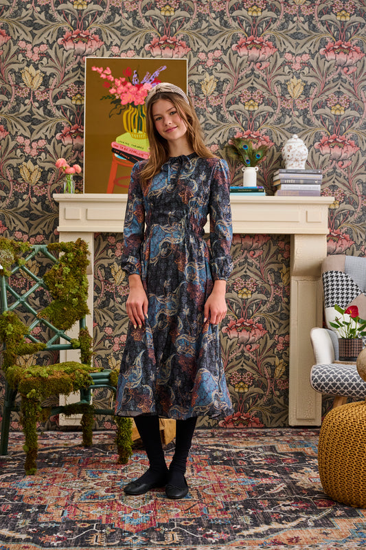 Multi-color Paisley Print Dress T-1124