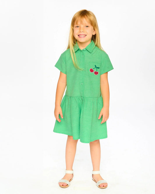 H30L88 Cotton Shirt Dress With Embroidery Green