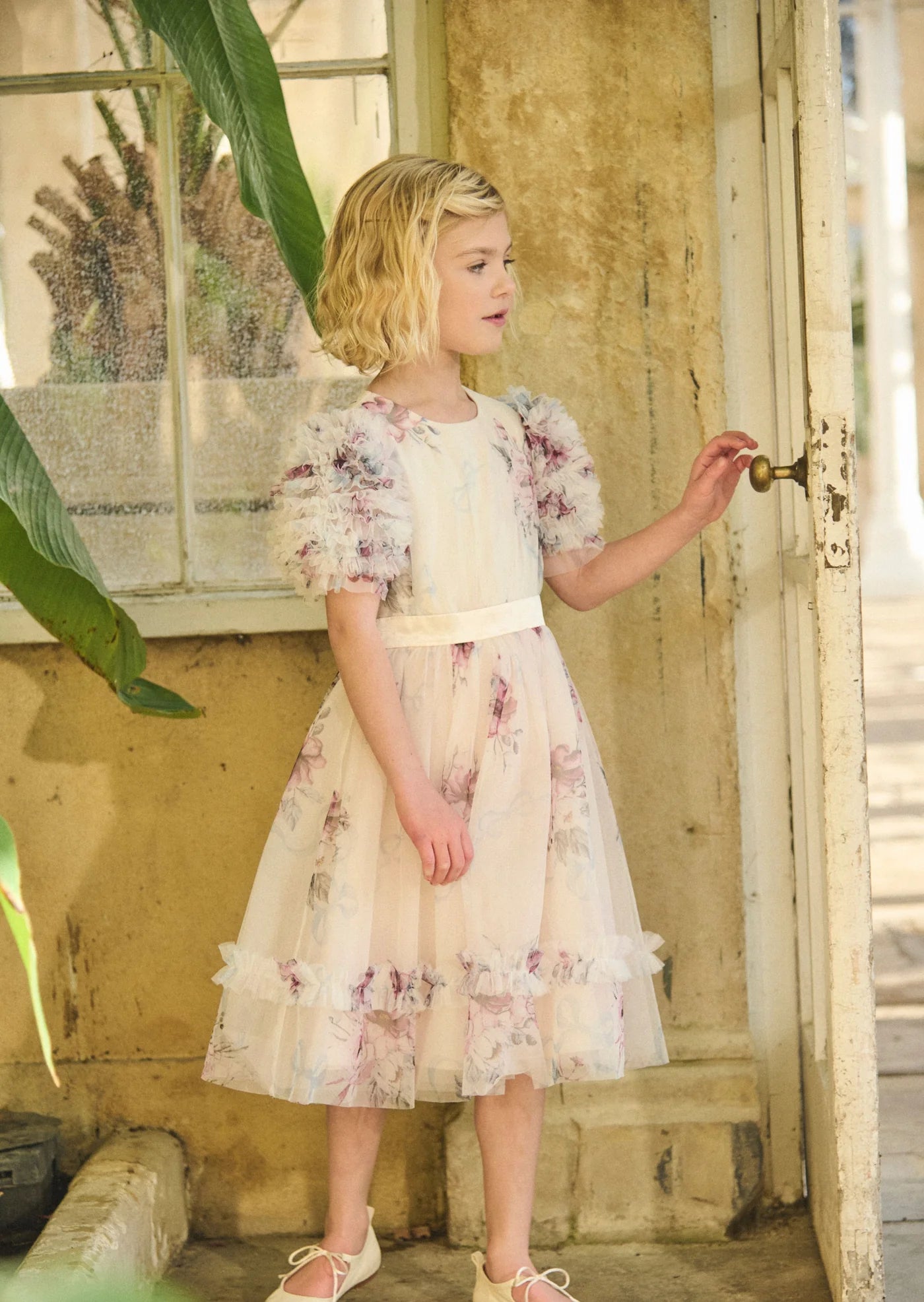 Florence Blush Ruffle Sleeve Mesh Dress AR0278