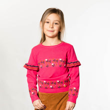 Load image into Gallery viewer, Fandango Pink Sweater D20HT70
