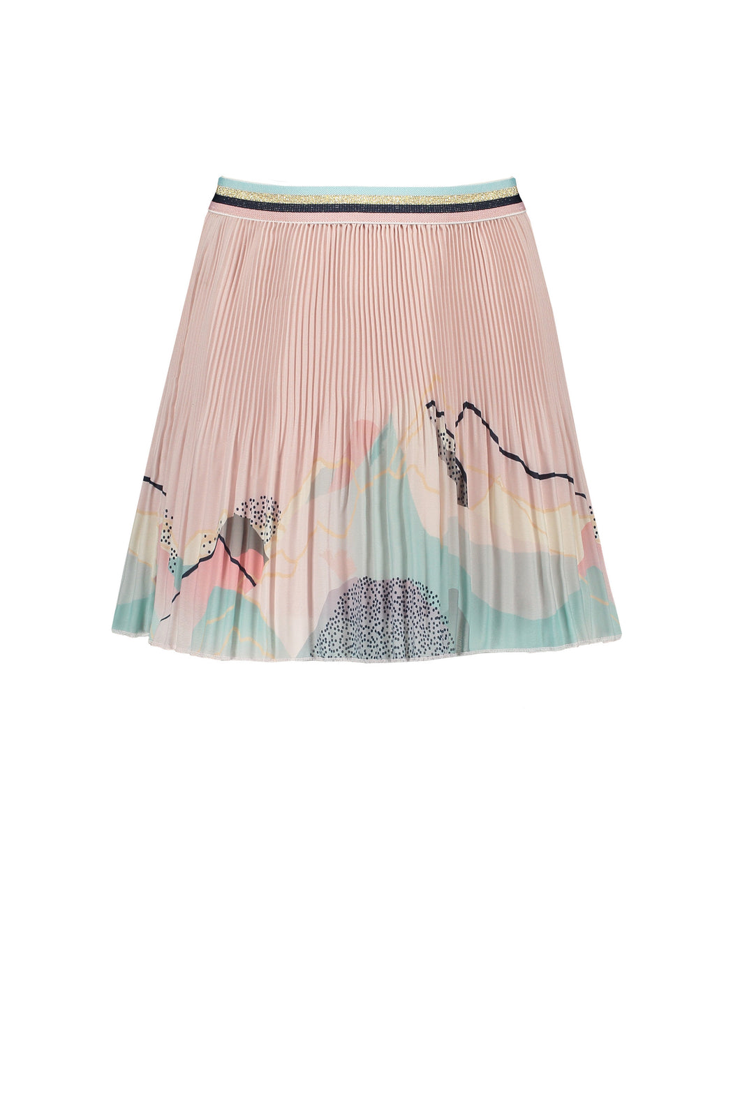 Noel Pleated Skirt With Borderprint N112-5705