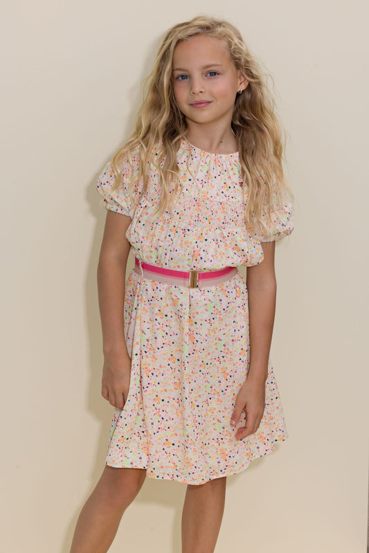 Manil Smocked Dress N302-5809