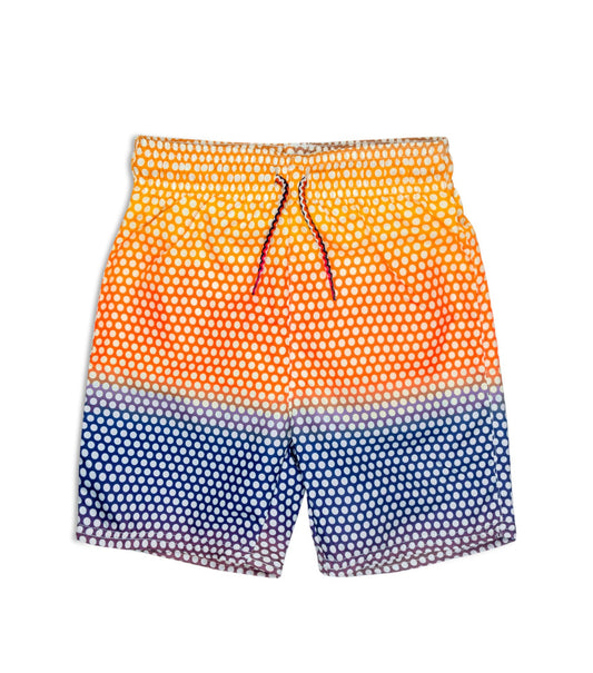 Ombre Dots Swim Trunks Z3MST2 DOT