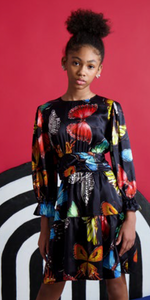 Butterfly Printed Dress SNK4492
