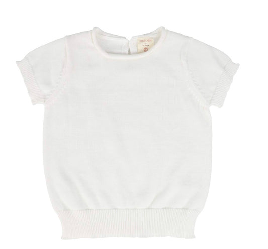 Knit Short Sleeve Sweater NSS