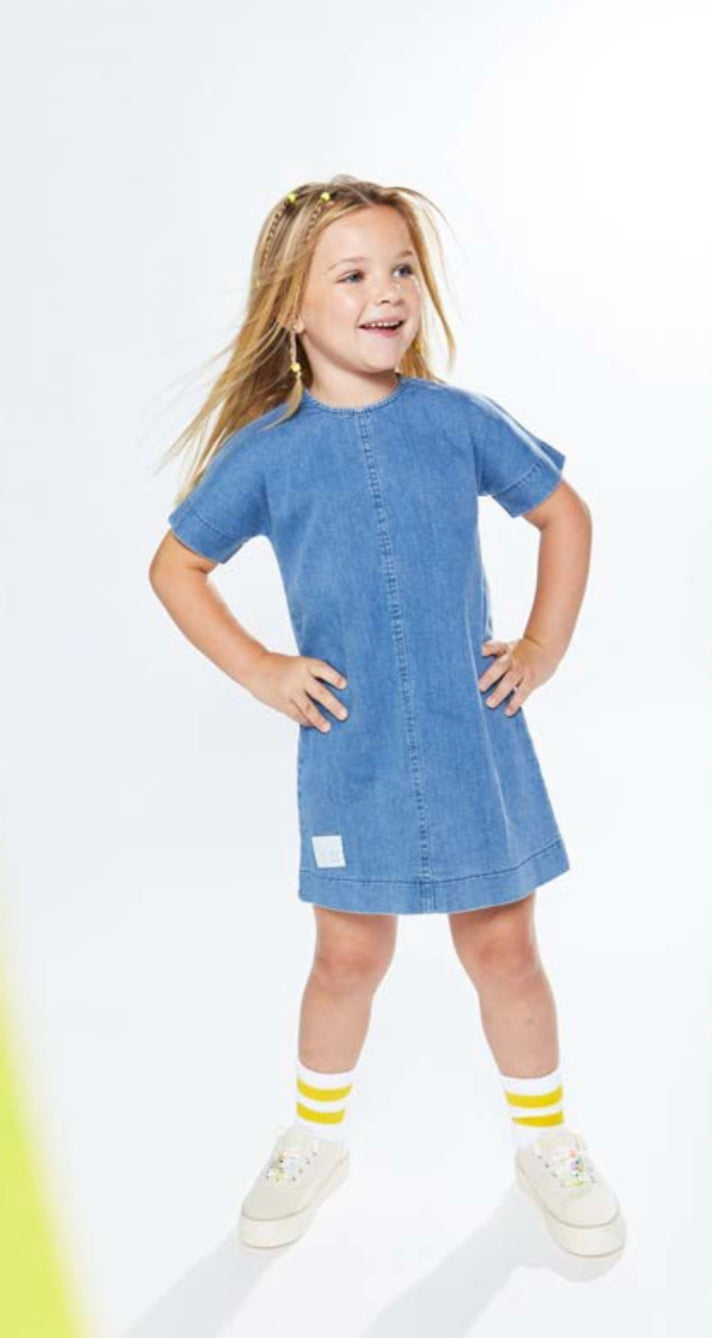 Denim Wash Dress AL2506