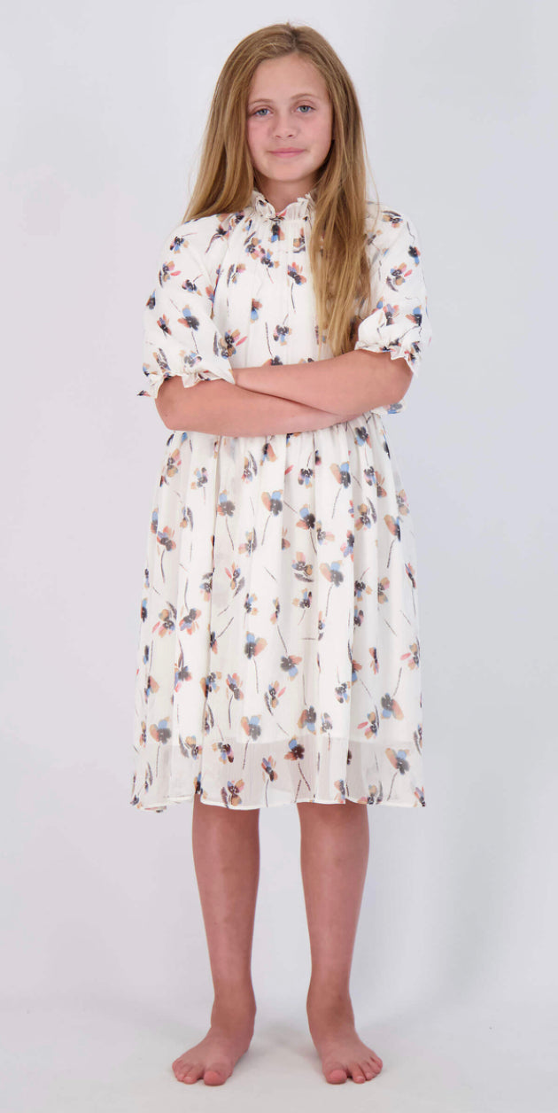 Floral Chiffon Puff Sleeve Dress SNK4091