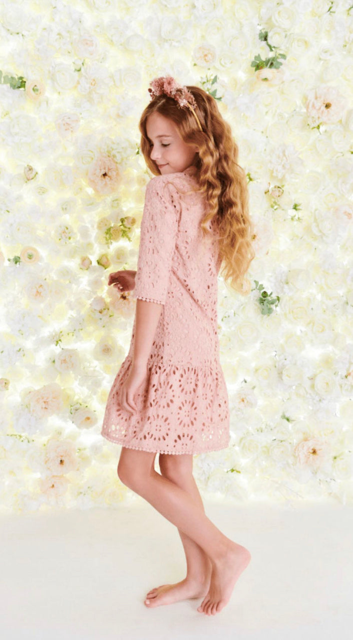 Blush Aline Eyelet Dress 1389