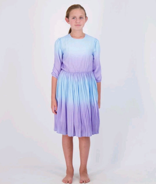 Purpley Ombre Dress snk4109