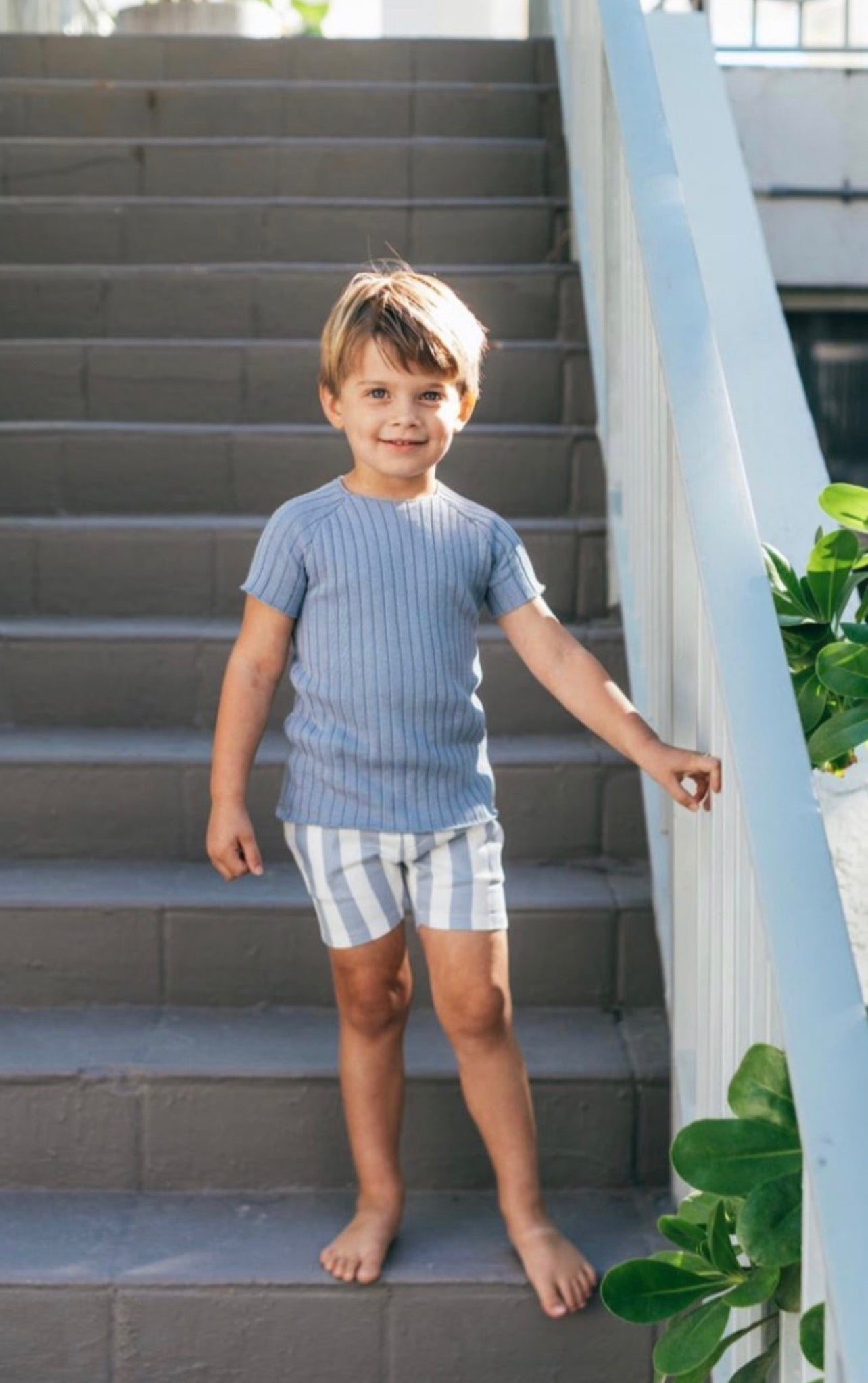 Analogie Dress Shorts