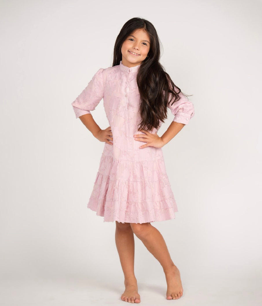 TLS2216-A BLUSH FLORAL EMBROIDERED DRESS