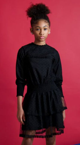 Dotted Tulle Dress SNK4511