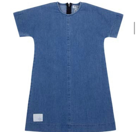 Denim Wash Dress AL2506