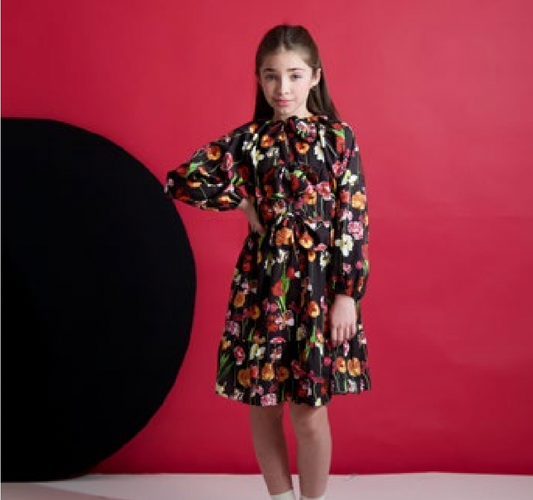 Floral Print Dress SNK4423