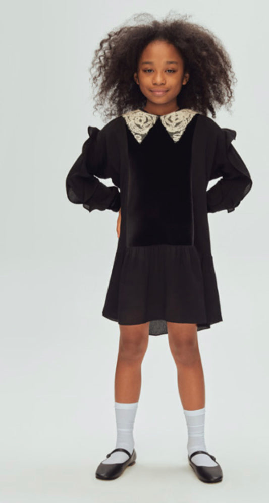 Black Lacey collar Dress DS01851