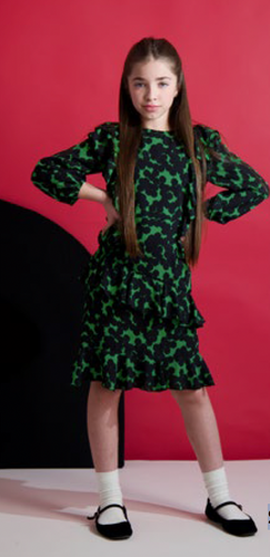 Ruffled Green Dress SNK4489