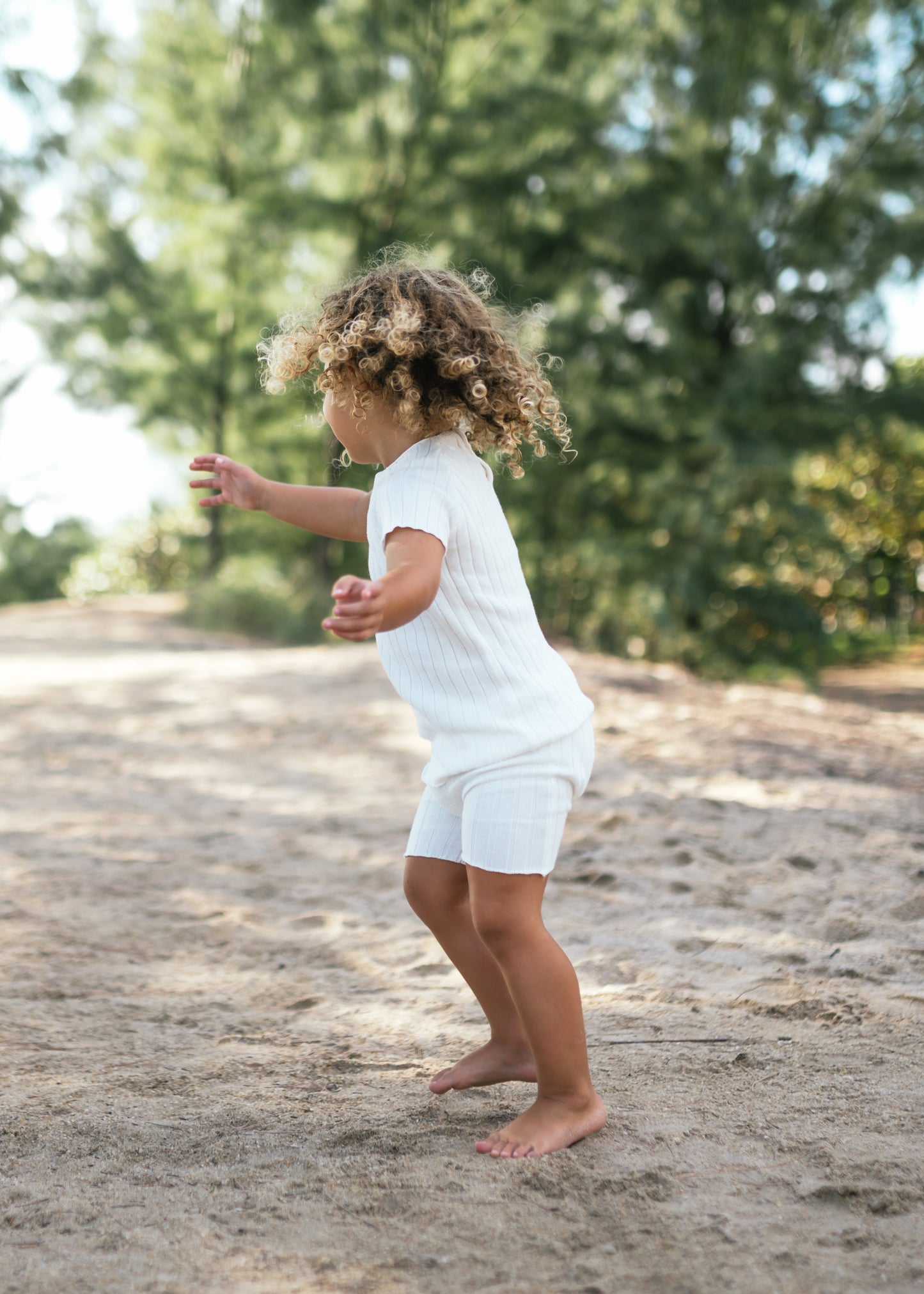 Knit Short Sleeve Analogie Sweater